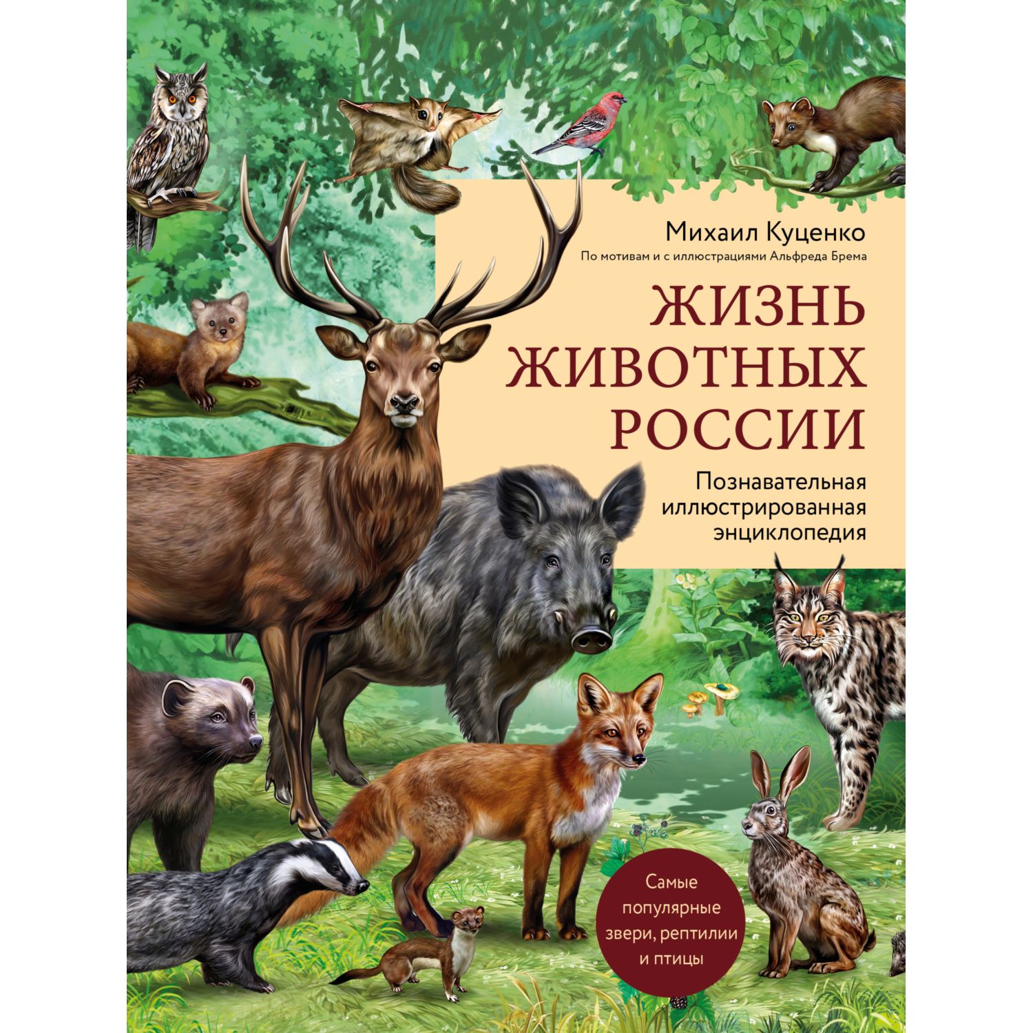 Книга Эксмо Жизнь животных России Познавательная иллюстрированная  энциклопедия