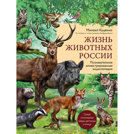 Книга Эксмо Жизнь животных России Познавательная иллюстрированная энциклопедия