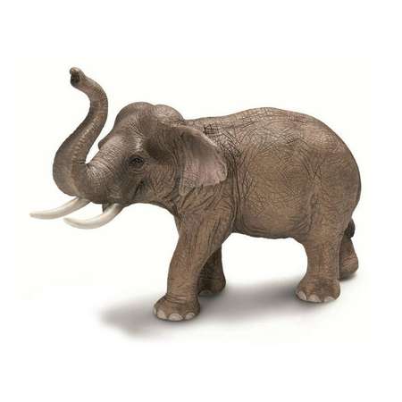 Фигурка SCHLEICH Азиатский слон самец