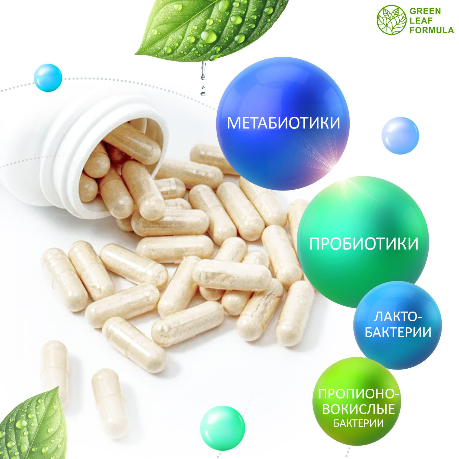 Метабиотик с пробиотиками и пребиотиками Green Leaf Formula для микрофлоры кишечника - фото 3