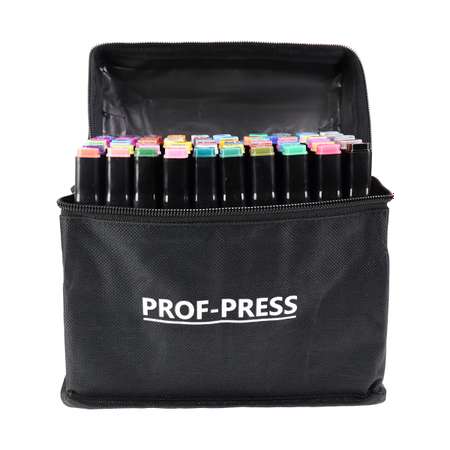 Набор маркеров для скетчинга Prof-Press Colorful tones двусторонние 60 штук