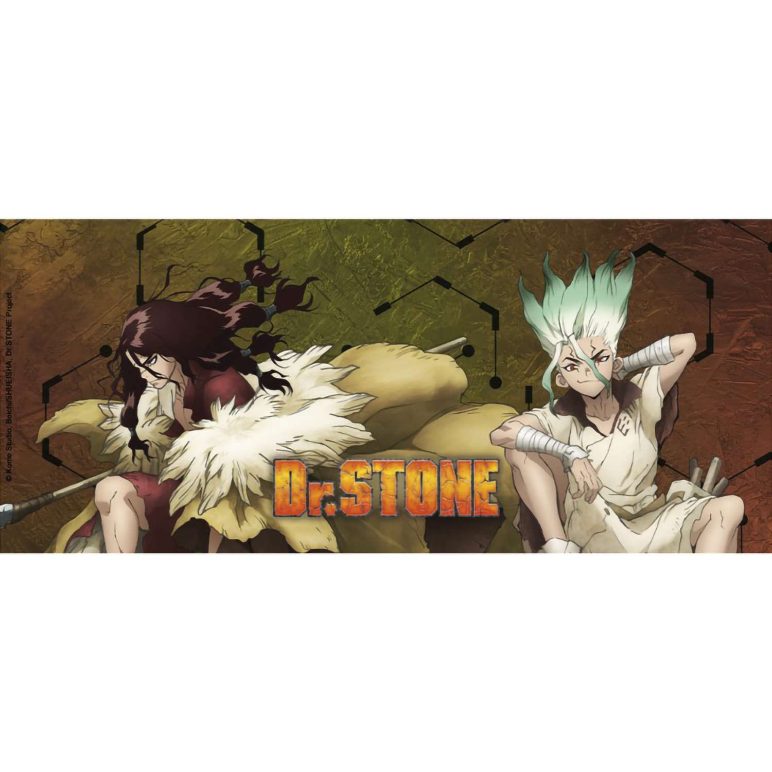 Кружка ABYStyle Dr Stone Mug 320 ml Tsukasa and Senku subli with box x2 ABYMUG828 - фото 4