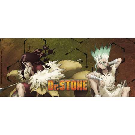 Кружка ABYStyle Dr Stone Mug 320 ml Tsukasa and Senku subli with box x2 ABYMUG828