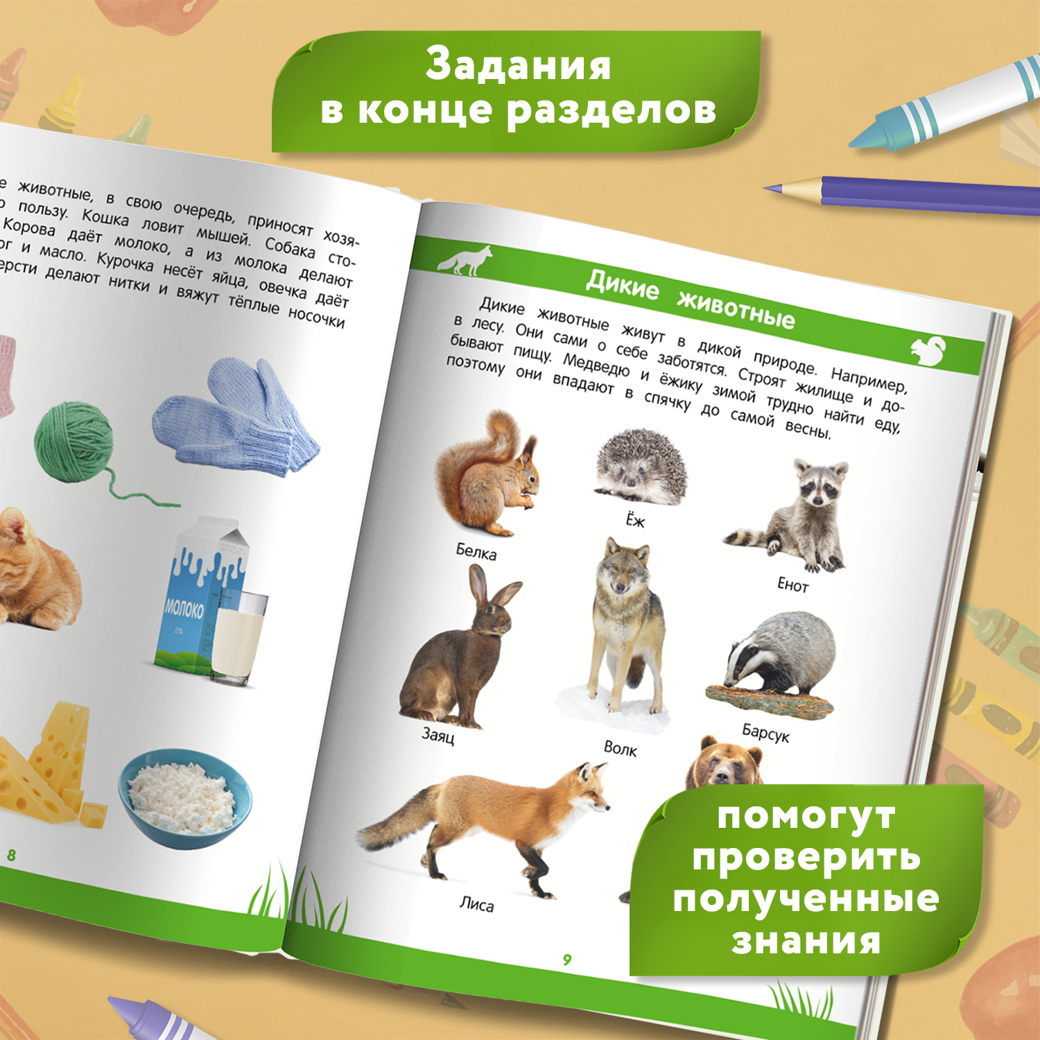 Книга Феникс Первая книга знаний Энциклопедия дошкольника 3-4 года - фото 5