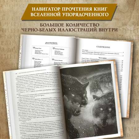 Книга Феникс Книга Война мага Т 1 Дебют. Серия Вселенная Упорядоченного. Перумов Ник