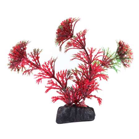 Растение PennPlax Cabomba с грузом 9см Красно-Зеленое PPBT21