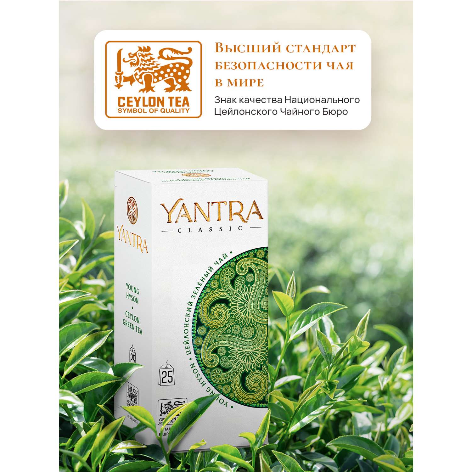 Чай Классик Yantra зеленый Young Hyson 25 пакетиков - фото 3