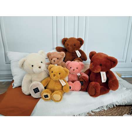 Медведь Histoire dOurs               Le nounours