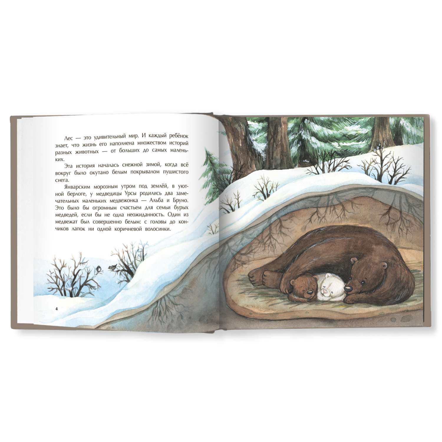 Книга Феникс Другая Альба: сказка об уникальной внешности медвежонка. Сказкотерапия - фото 6