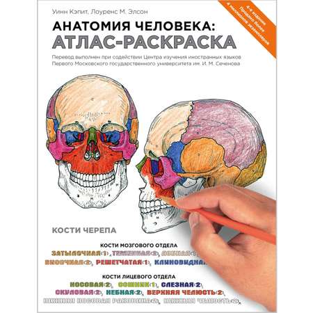 Книга ЭКСМО-ПРЕСС Анатомия человека атлас-раскраска