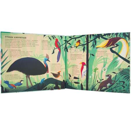 Книга МОЗАИКА kids Звуки природы Птицы