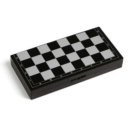 Шахматы Sima-Land магнитные 24.5х24.5 см