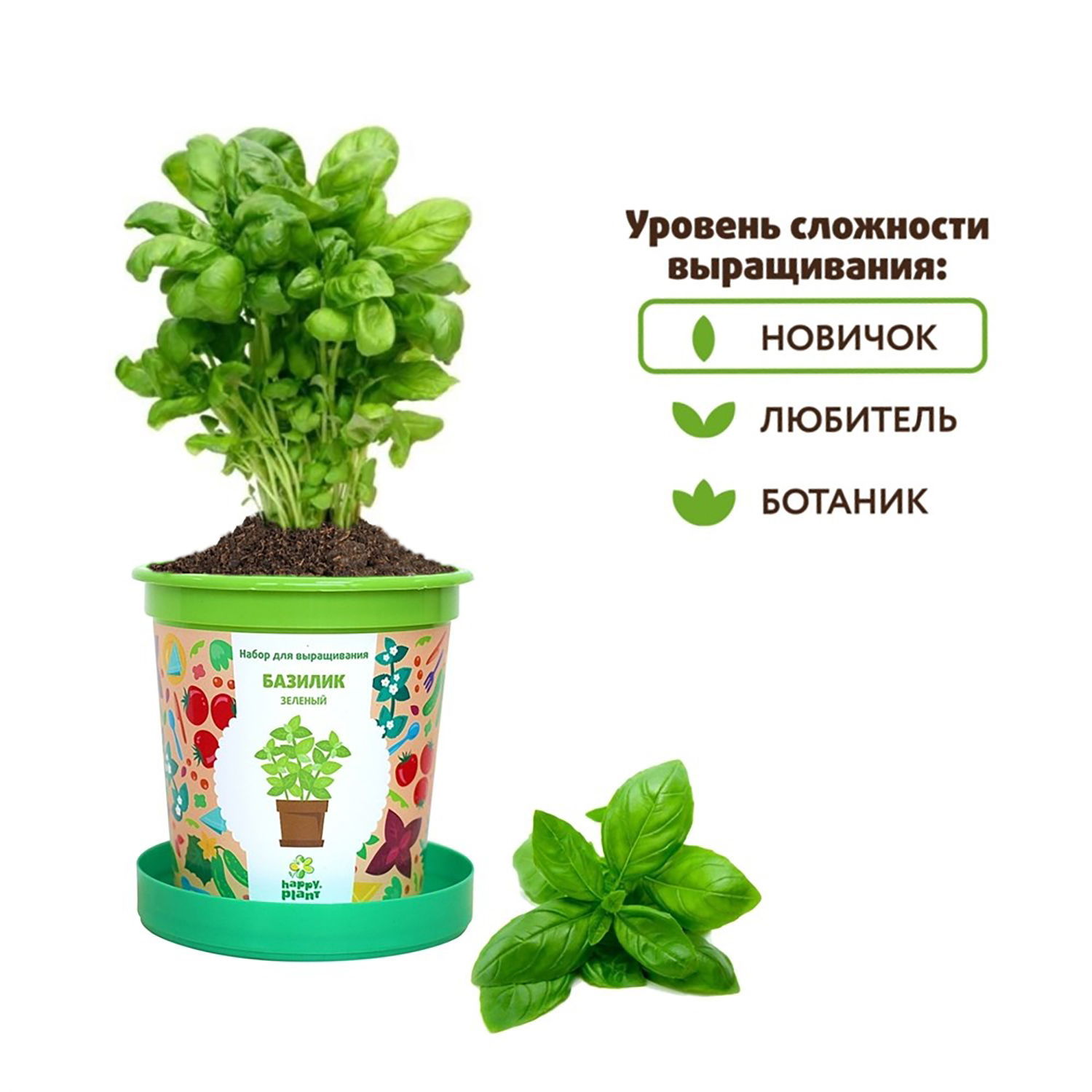 Набор для выращивания Happy Plant Вырасти сам растение в горшочке Базилик  зеленый купить по цене 335 ₽ в интернет-магазине Детский мир