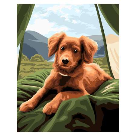 Картина по номерам Art on Canvas холст на подрамнике 40х50 см Собака в палатке