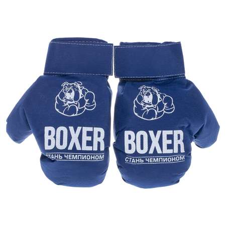 Набор ПК Лидер Детские игровые боксерские перчатки ткань