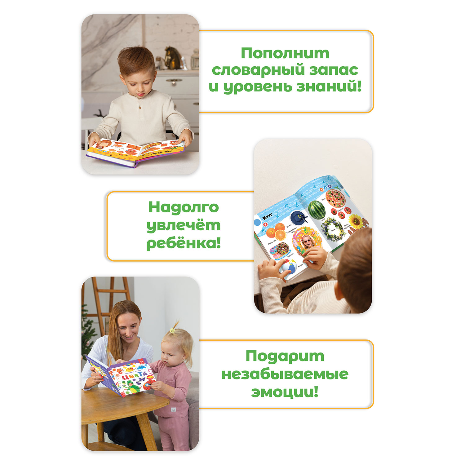 Комплект говорящих книжек BertToys Нажималки: Цвета + Формы - фото 8