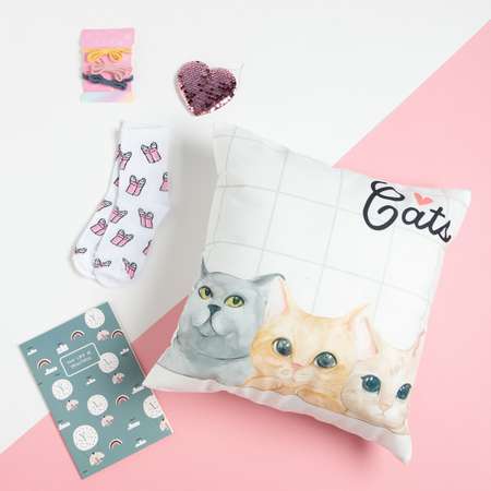 Набор подарочный Этель Cats подушка-секрет 40х40 см и аксессуары