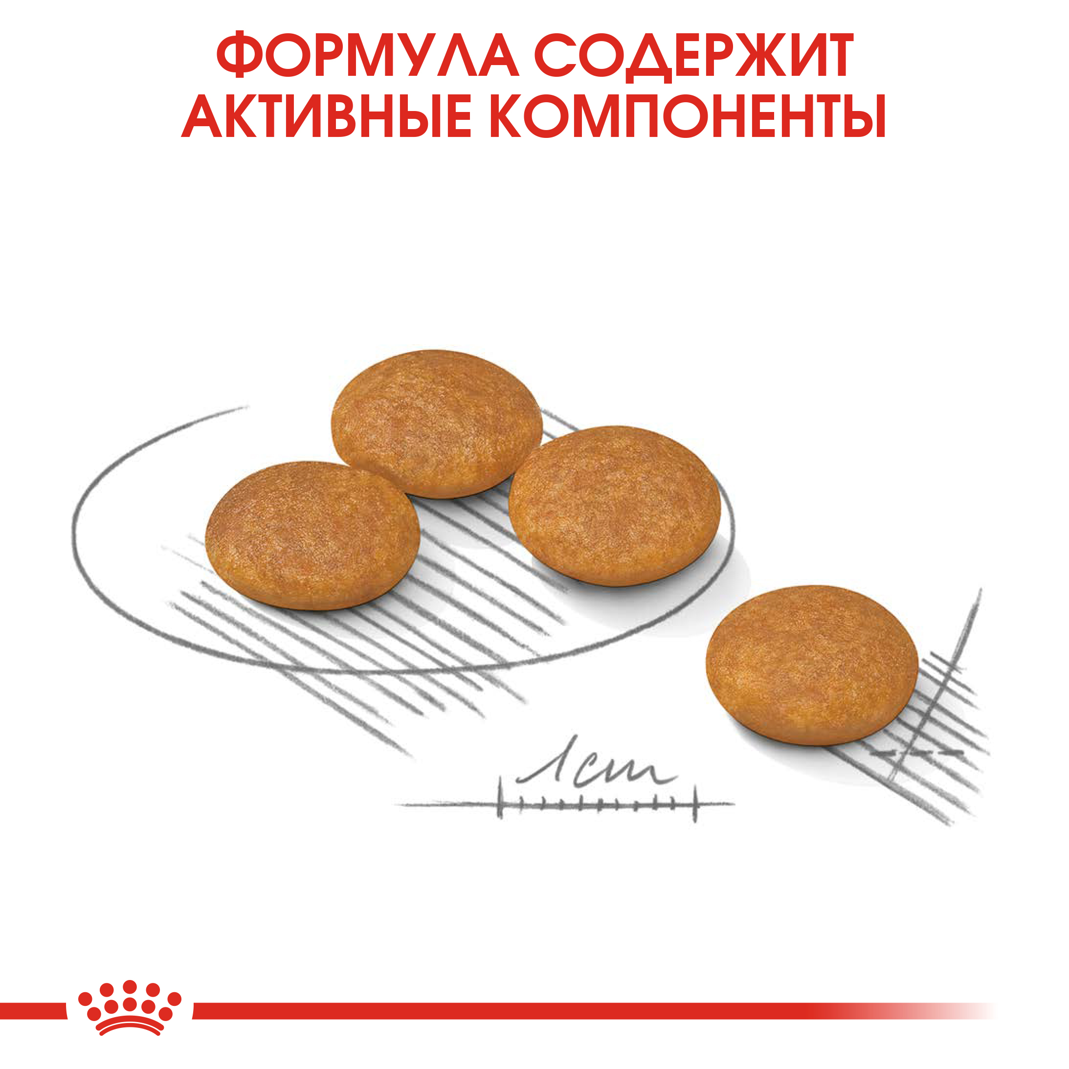 Корм для собак ROYAL CANIN Mini Dermacomfort при раздраженной и зудящей коже 1кг - фото 5