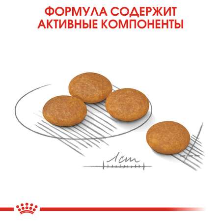 Сухой корм для собак ROYAL CANIN Dermacomfort 1 кг (лечебный)