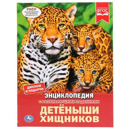 Книга УМка Детеныши хищников / энциклопедия А4 с развивающими заданиями 295297