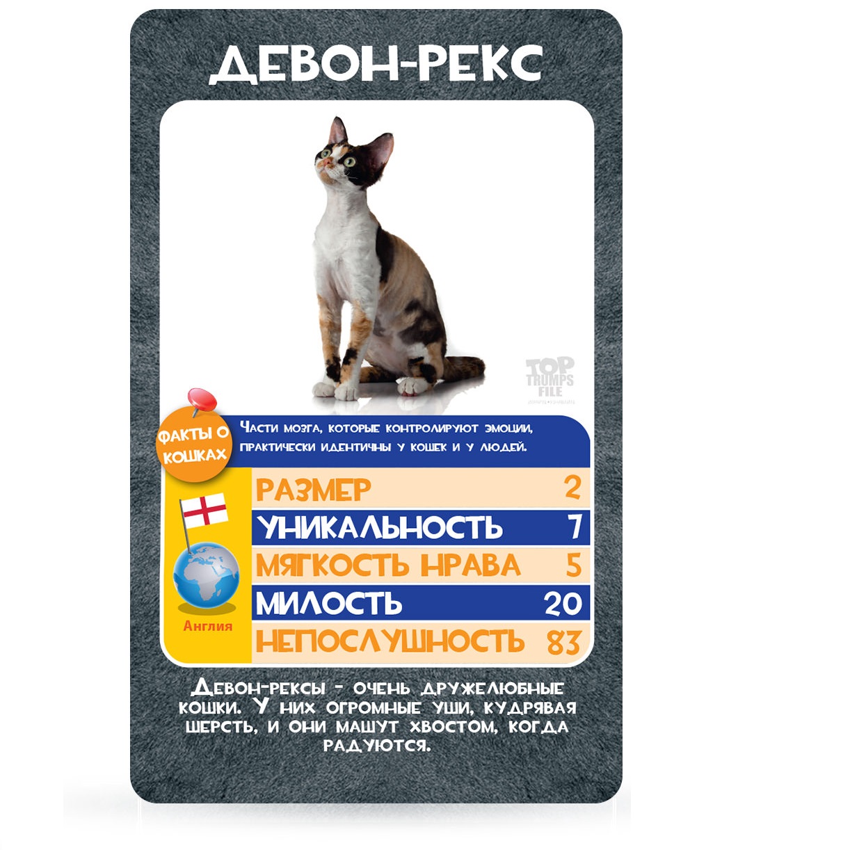 Настольная игра TopTrumps Козырные карты Кошки - фото 4