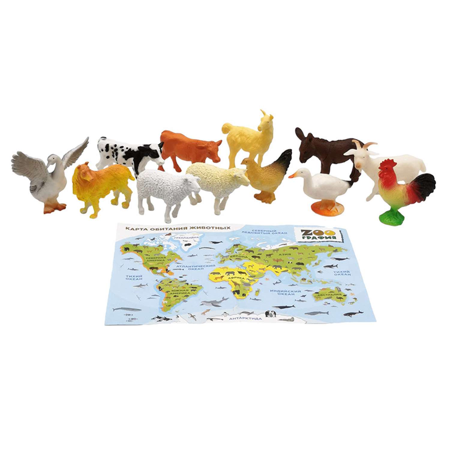 Игровой набор S+S Домашние животные с картой обитания внутри 12 шт Zooграфия - фото 1