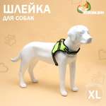 Шлейка Пижон мягкая улучшенная светоотражающая XL расширенная ОШ 54-69 ОГ 64-86 см зелёная