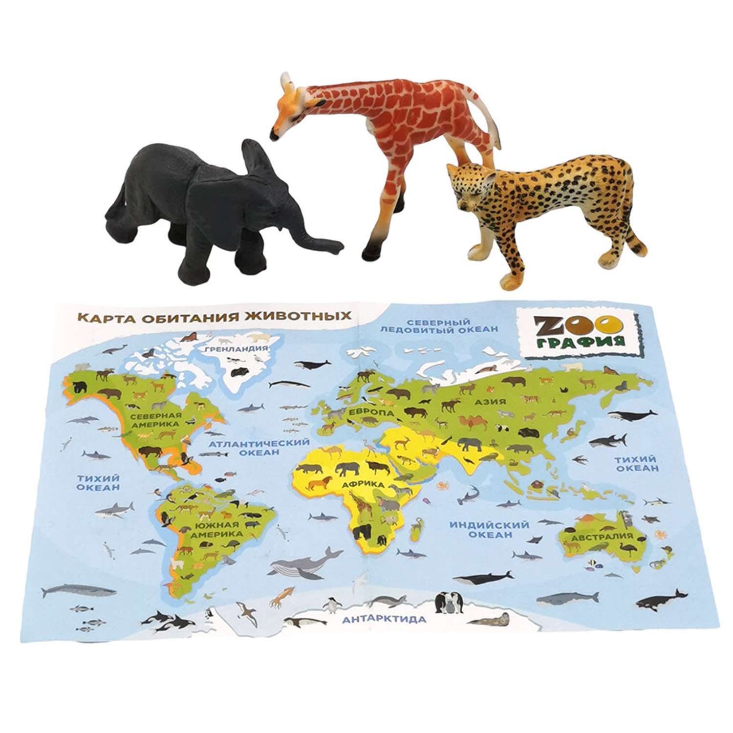Игровой набор S+S Животные с картой обитания внутри 3 шт Zooграфия - фото 1