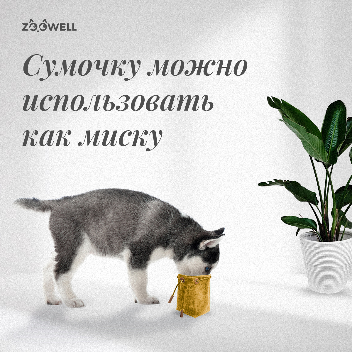 Сумка на пояс для лакомства ZDK ZooWell Training Premium поясная сумочка для корма и лакомств горчичная - фото 6