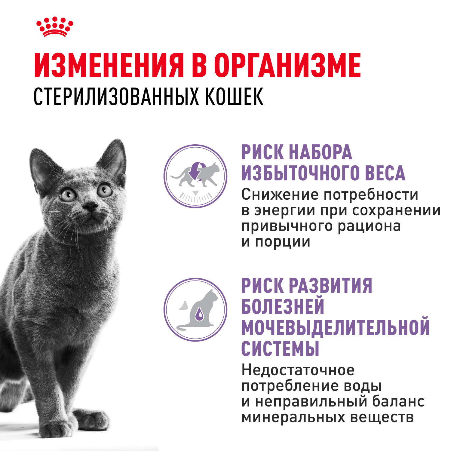 Корм влажный для кошек ROYAL CANIN Sterilised 85г соус стерилизованных пауч - фото 2