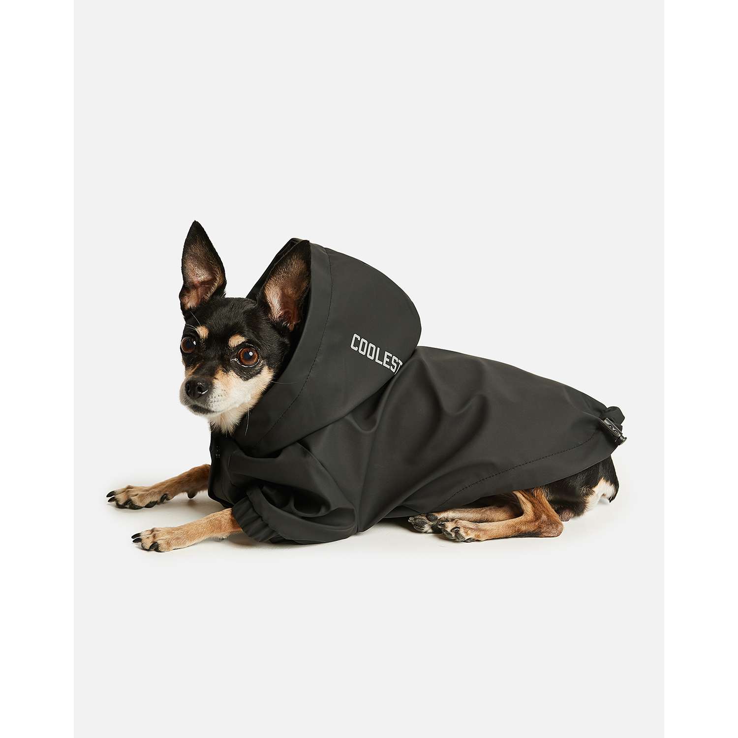 Дождевик-куртка для собак Zoozavr чёрный 40 - фото 9