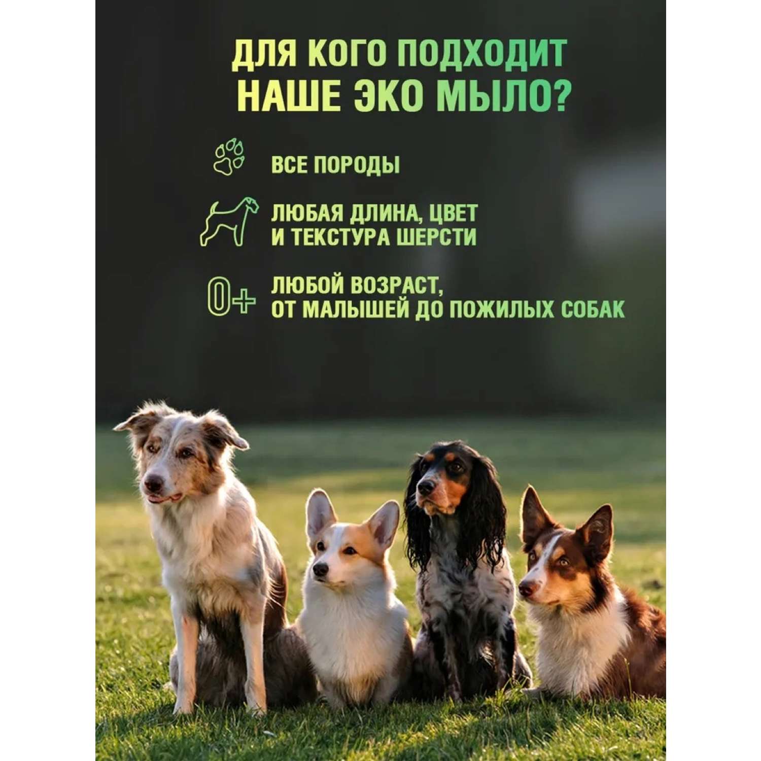 Мыло для собак ECOZAVR с антибактериальным эффектом Хлопок 500мл - фото 5