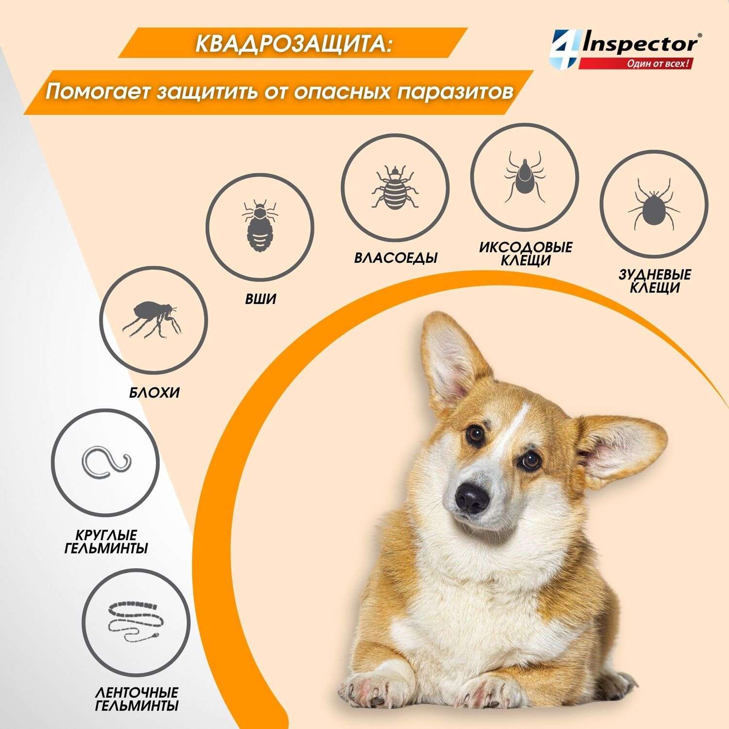 Капли для собак Inspector Quadro 25-40кг от наружных и внутренних паразитов 4мл - фото 4
