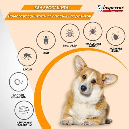 Капли для собак Inspector Quadro 25-40кг от наружных и внутренних паразитов 4мл