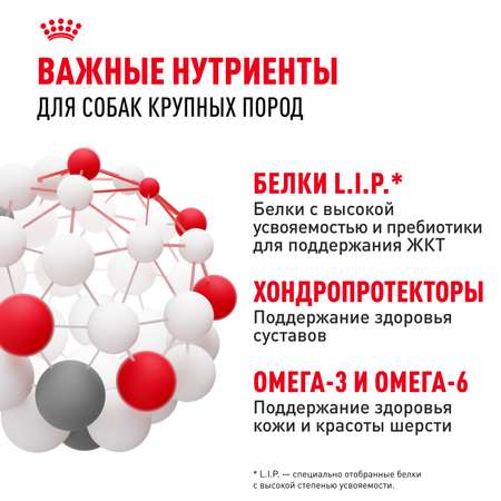 Корм для собак ROYAL CANIN крупных пород до 5 лет 15кг