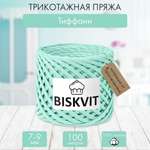 Трикотажная пряжа BISKVIT Тиффани