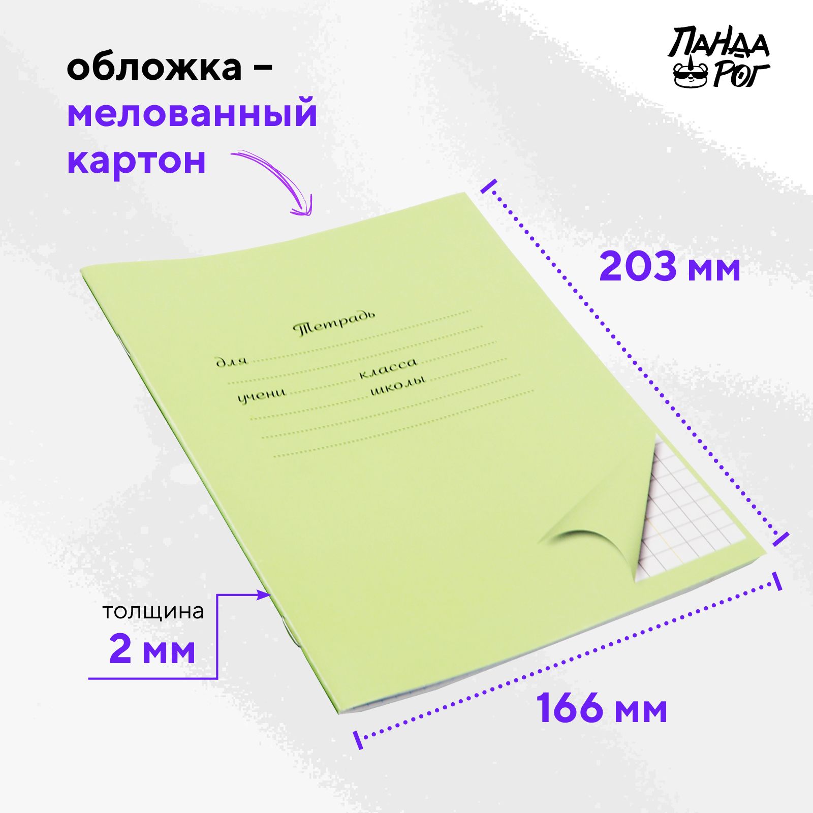 Тетради школьные в клетку ПАНДАРОГ 12 л картонная обложка набор 10 шт зеленые - фото 5