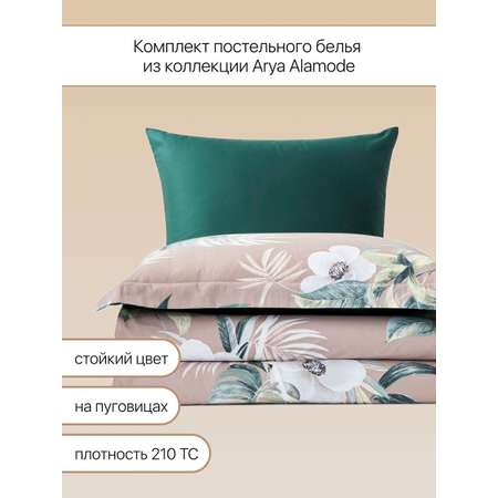 Постельное белье Arya Home Collection 1 5 спальное наволочки 50х70 и 70х70 Alamode 160X220 Loyal