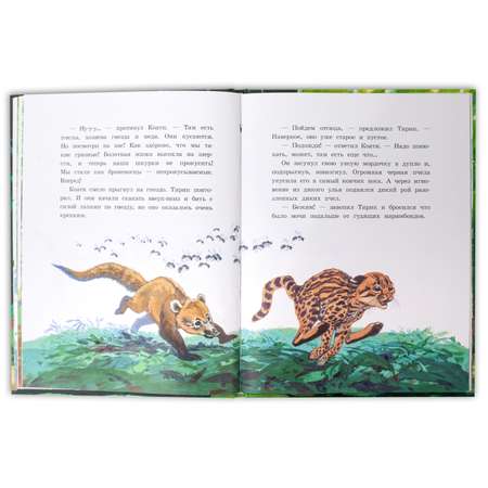 Книга Издательство Детская литератур Приключения Тирика и Коати