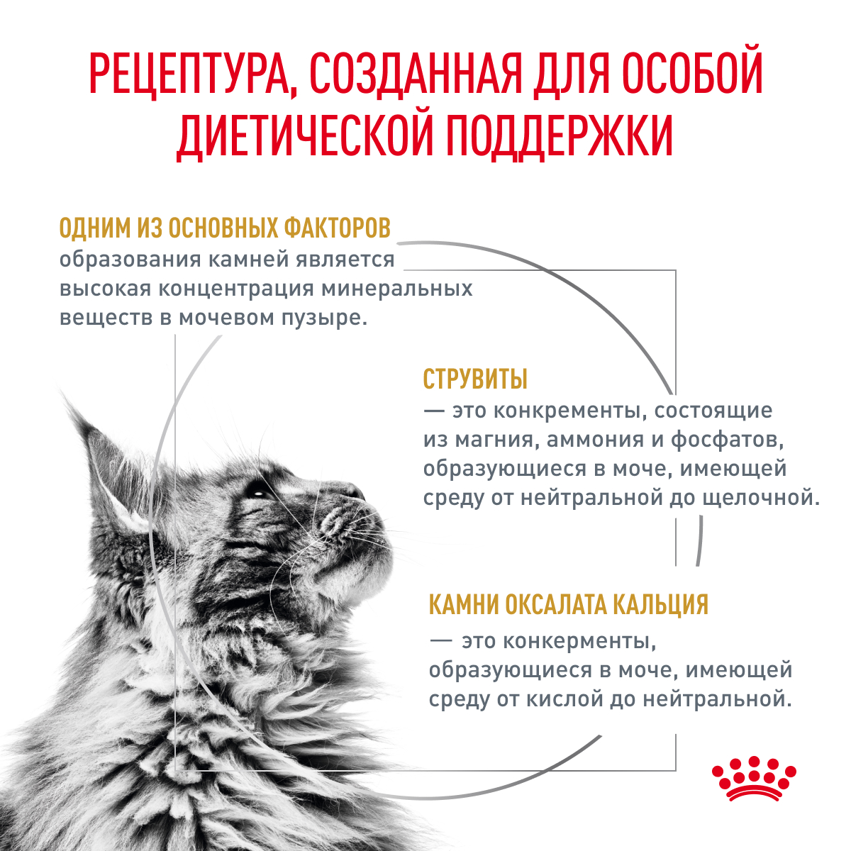 Корм для кошек ROYAL CANIN Veterinary Diet Urinary S/O LP34 Лечение и профилактика МКБ 0.4кг - фото 3