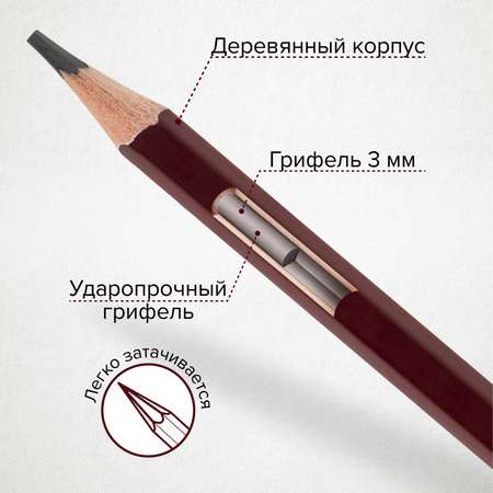 Карандаши простые Brauberg чернографитные 12 штук