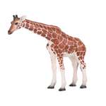 Фигурка MOJO Animal Planet Жираф самка