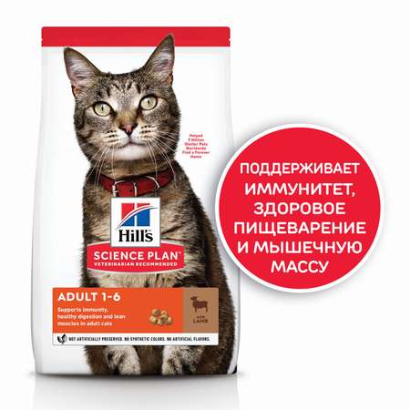 Корм сухой для кошек HILLS 300г Science Plan с ягненком для поддержания жизненной энергии и иммунитета