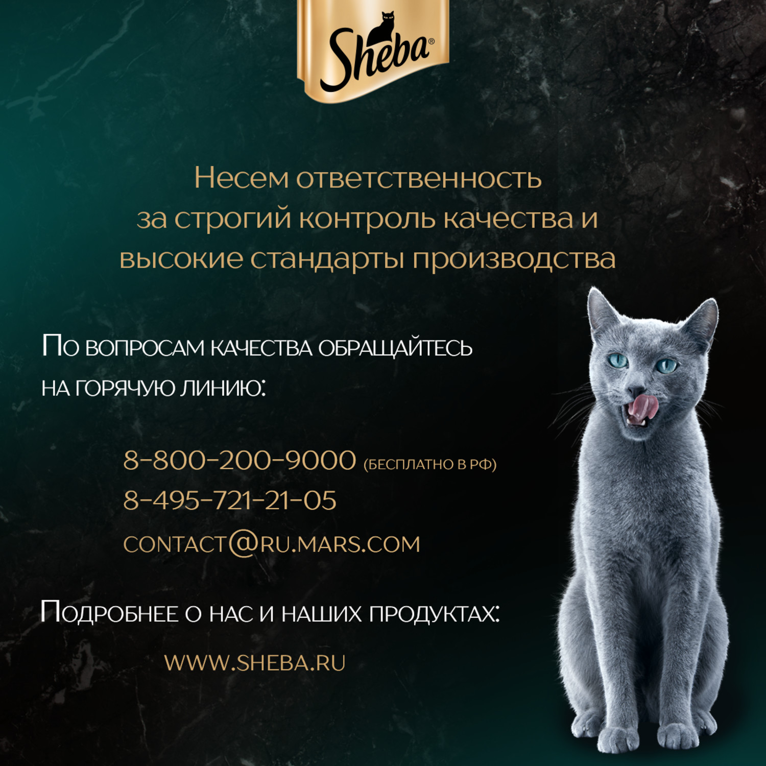 Влажный корм для кошек Sheba 0.075 кг говядина (для домашних, полнорационный) - фото 7