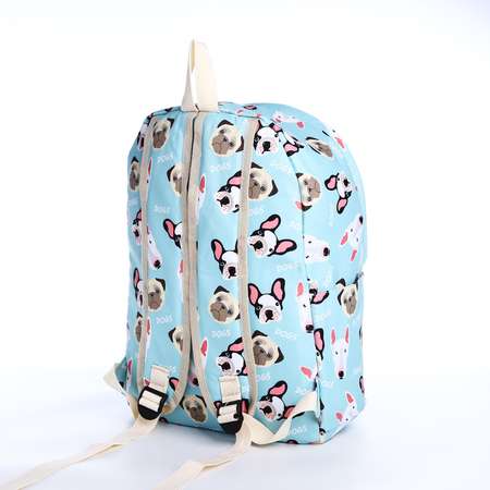 Рюкзак школьный Sima-Land из текстиля на молнии 3 кармана пенал цвет голубой
