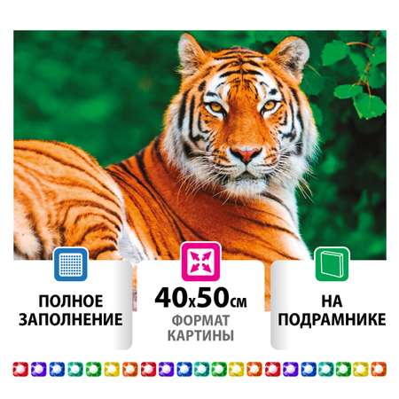 Алмазная мозаика Остров Сокровищ 40х50 см Тигр