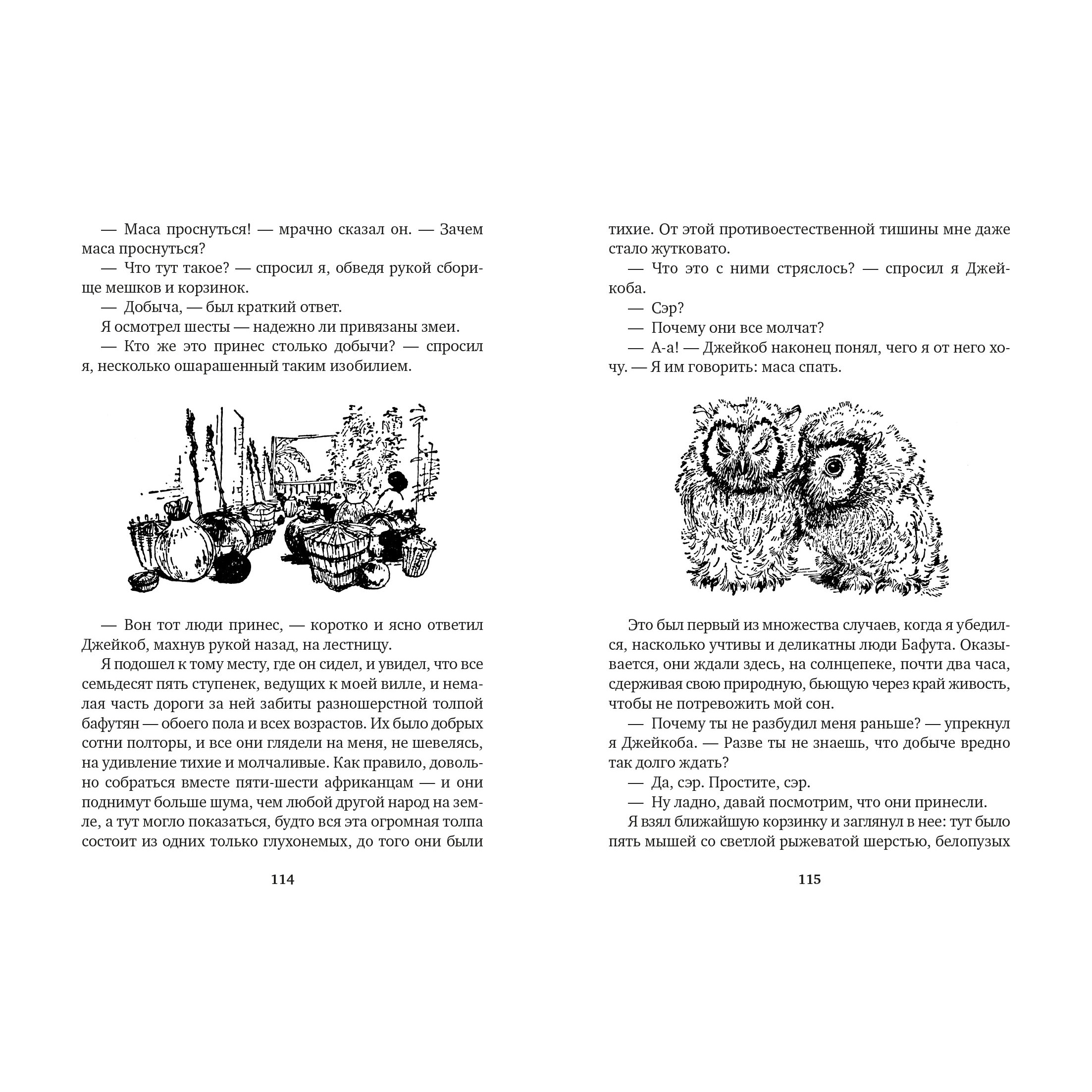 Книга АЗБУКА Гончие Бафута. Зоопарк в моем багаже - фото 6