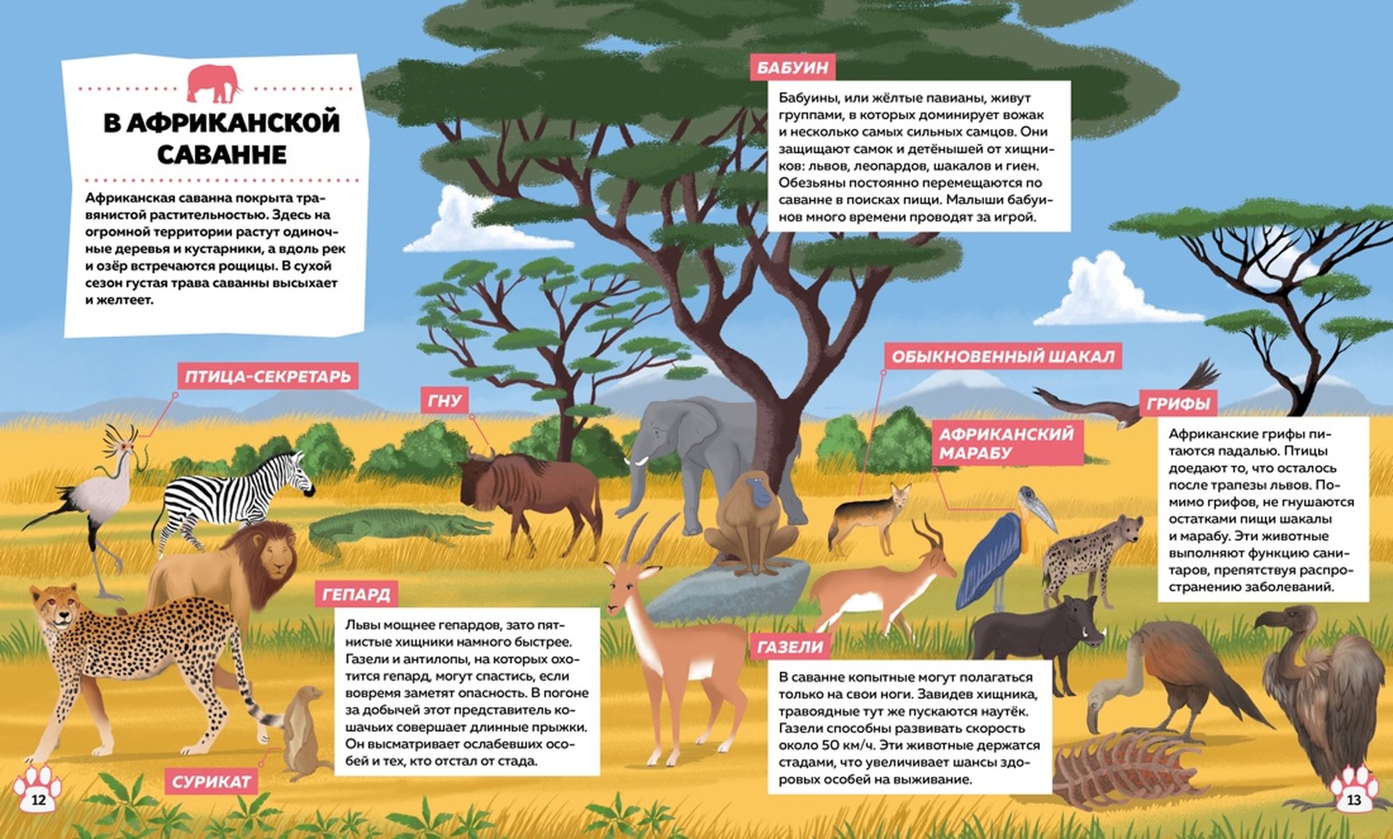 Энциклопедия Дикие животные Детям обо всём - фото 6