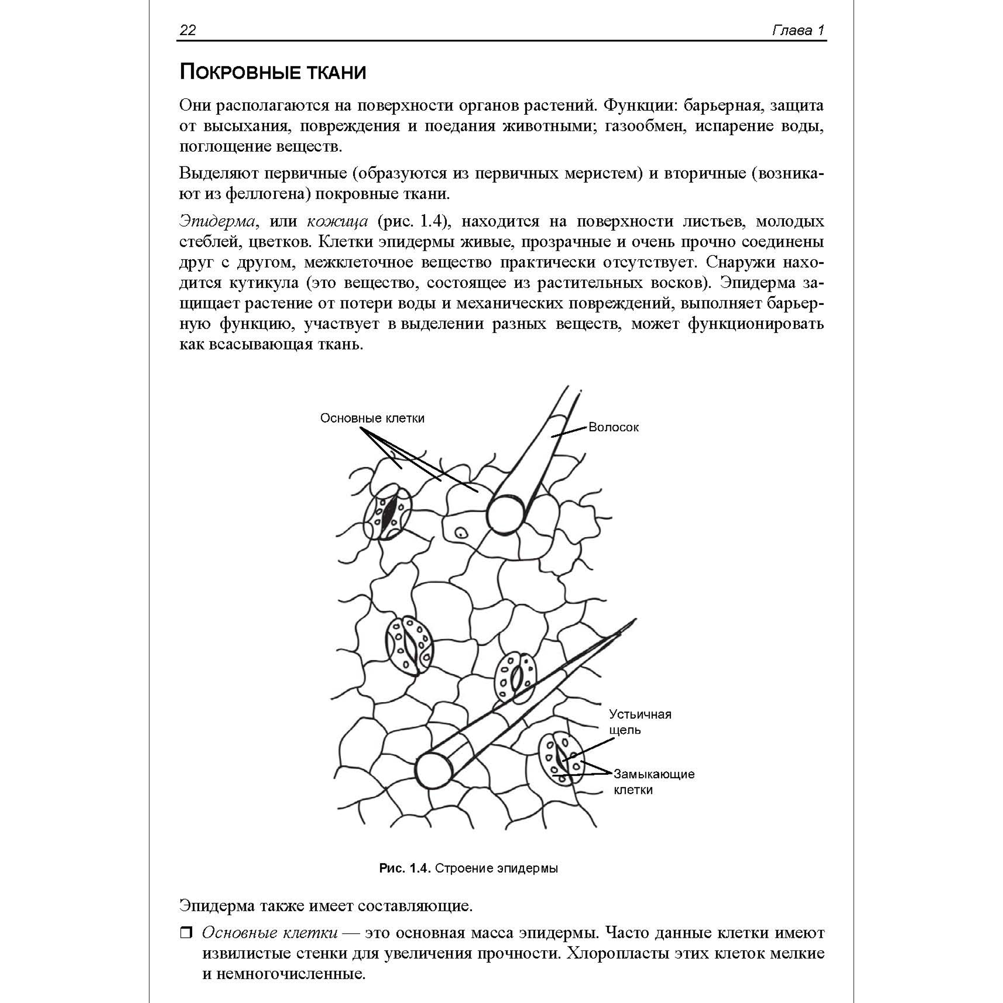 Книга BHV ЕГЭ по биологии. Практическая подготовка. 7-е изд. - фото 6