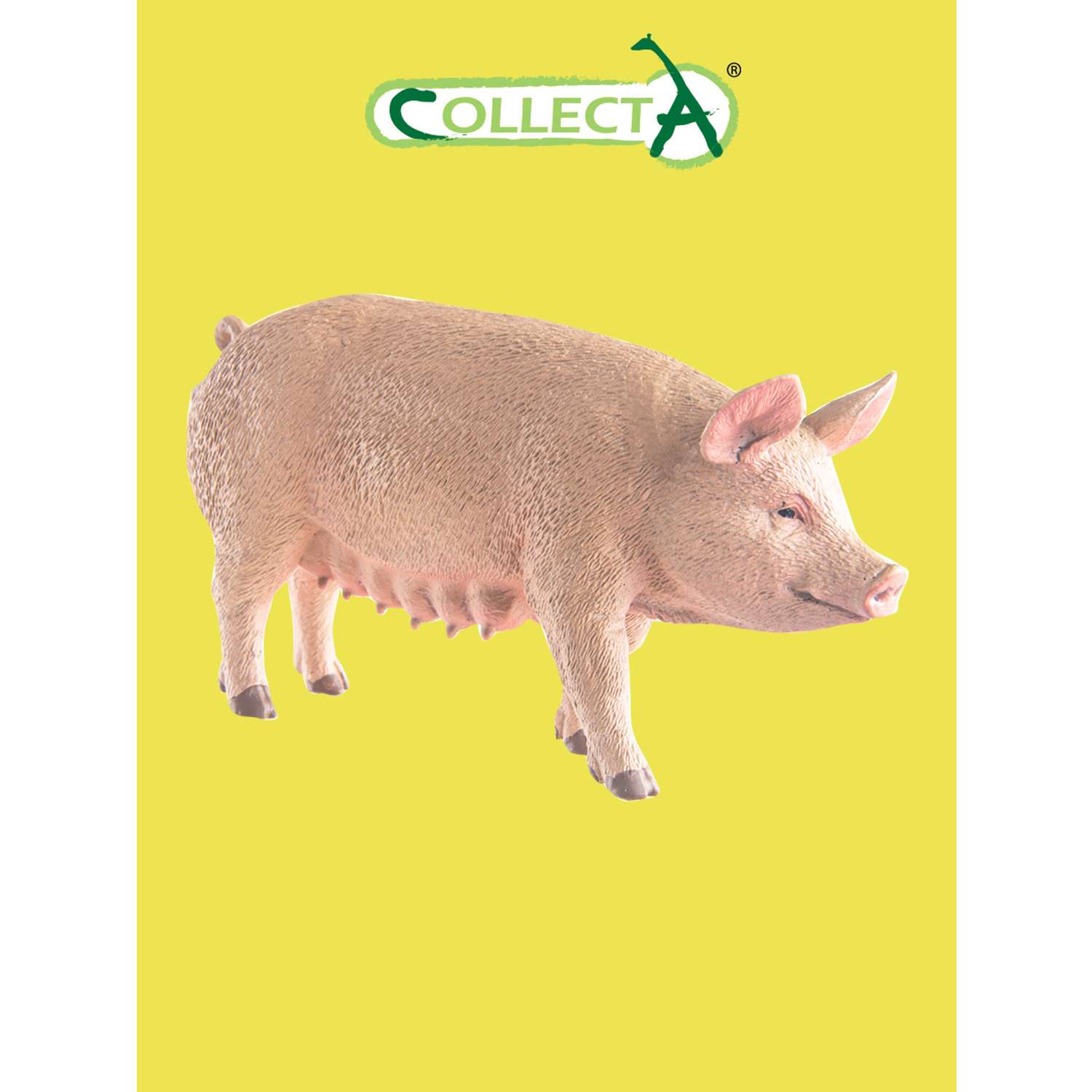 Игрушка Collecta Свинья фигурка животного - фото 1